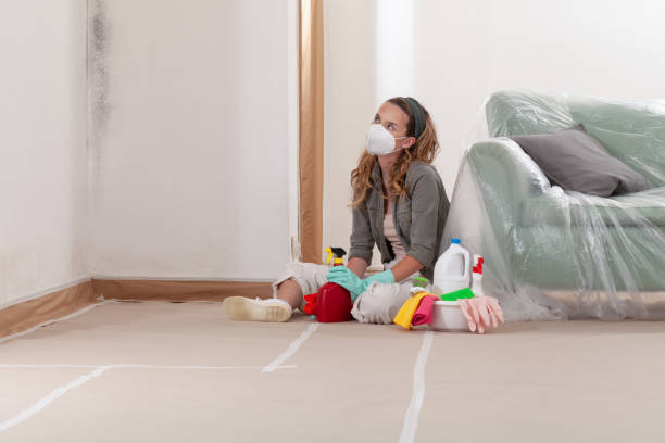 Reliable Mold Remediation contractor in Alexandria, MN by WQB Mold Removal
